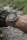 Спортивний годинник Suunto 7 Gray Stone Titanium (SS050567000)  Фото №6