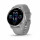 Смарт-часы Garmin Venu 2 Plus Silver S. Steel Bezel w. Powder G. Case and S. Band (010-02496-00/10)