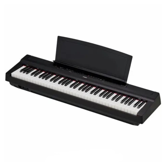 Цифровое пианино Yamaha P-121  Фото №1