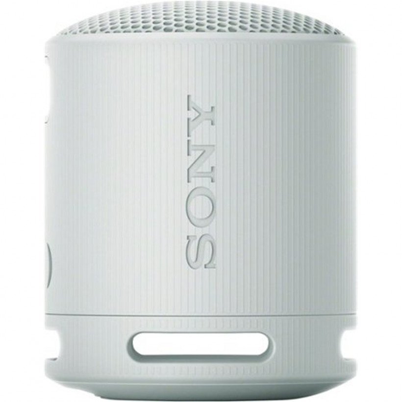 Портативна колонка Sony SRS-XB100 Grey (SRSXB100H.CE7)