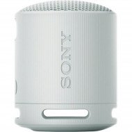 Портативна колонка Sony SRS-XB100 Grey (SRSXB100H.CE7) 