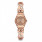 Жіночий годинник Swatch Rose Hug YSG165G