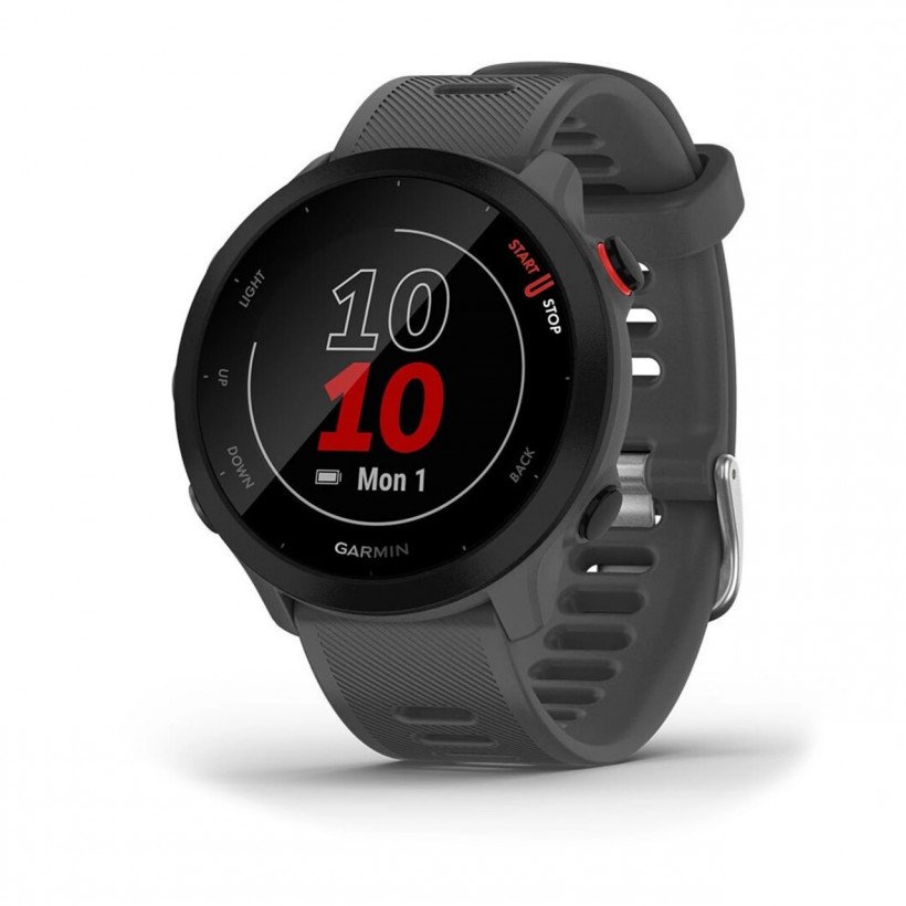 Спортивний годинник Garmin Forerunner 55 Monterra Grey (010-02562-13)  Фото №0