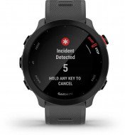 Спортивний годинник Garmin Forerunner 55 Monterra Grey (010-02562-13) 