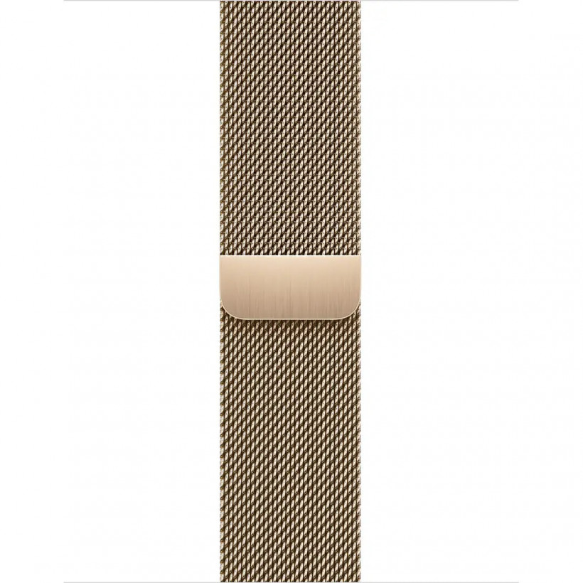 Смарт-часы Apple Watch Series 9 GPS + Cellular 41mm Gold S. Steel Case w. Gold Milanese Loop (MRJ73)  Фото №1