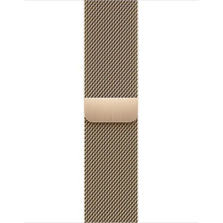 Смарт-часы Apple Watch Series 9 GPS + Cellular 41mm Gold S. Steel Case w. Gold Milanese Loop (MRJ73)  Фото №1
