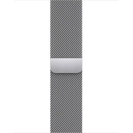 Смарт-часы Apple Watch Series 9 GPS + Cellular 41mm Silver S. Steel Case w. Silver Milanese Loop (MRJ43)  Фото №1