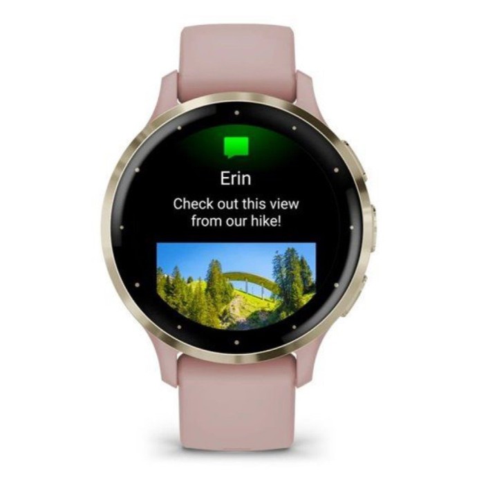 Смарт-часы Garmin Venu 3S Soft Gold S. Steel Bezel w. Dust Rose Case and S. Band (010-02785-03/53)