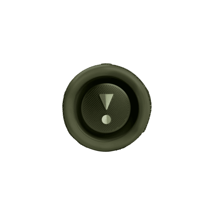 Портативная колонка JBL Flip 6 Green (JBLFLIP6GREN)  Фото №0