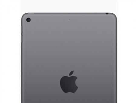 Планшет Apple iPad mini 5 Wi-Fi + Cellular 64GB Space Gray (MUXF2/MUX52)  Фото №0