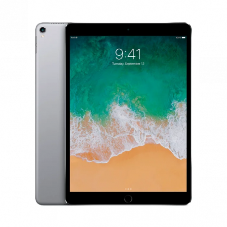 Планшет Apple iPad Pro 10.5 Wi-Fi + Cellular 64GB Space Gray (MQEY2/MQF32)