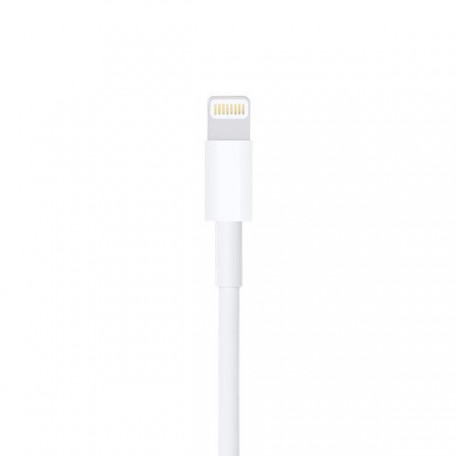 Кабель Lightning Apple Lightning to USB Cable 1m (MXLY2) MXLY2  Фото №0