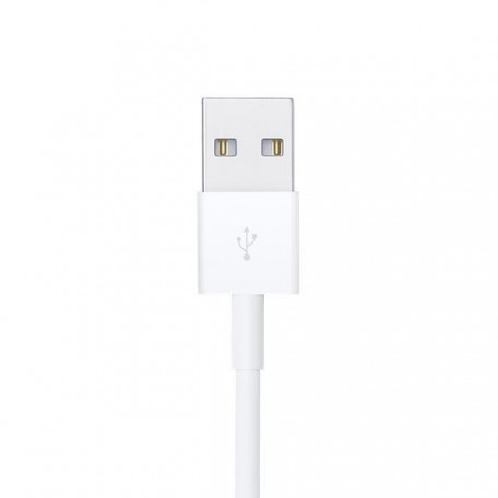 Кабель Lightning Apple Lightning to USB Cable 1m (MXLY2) MXLY2  Фото №1