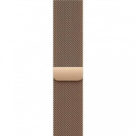 Смарт-годинник Apple Watch Series 10 GPS + Cellular 46mm Gold Titanium Case w. Gold Milanese Loop - M/L (MX003)  Фото №0