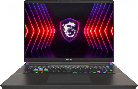 Ноутбук MSI Vector 17HX A14VGG (A14VGG-221PL)