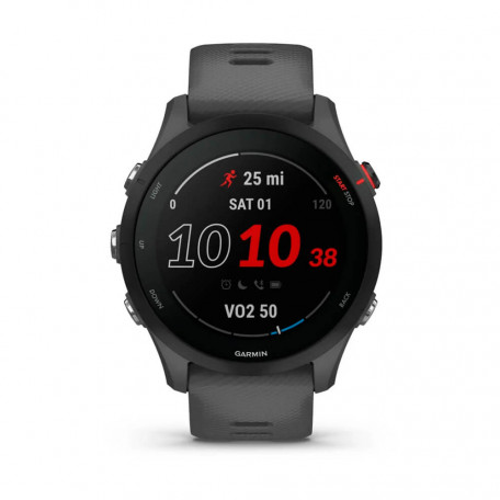 Смарт-часы Garmin Forerunner 255 Slate Gray (010-02641-00/10)  Фото №0