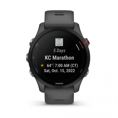 Смарт-часы Garmin Forerunner 255 Slate Gray (010-02641-00/10)  Фото №3