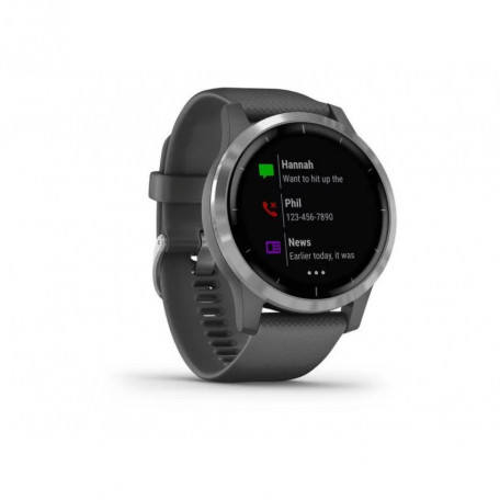 Смарт-часы Garmin vivoactive 4 Shadow Gray/Silver (010-02174-03/010-02174-01)  Фото №1