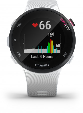 Спортивний годинник Garmin Forerunner 45s White (010-02156-00/10)  Фото №0