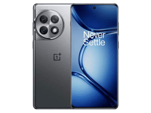 Смартфон OnePlus Ace 2 Pro 12/256GB Titanium Gray CN