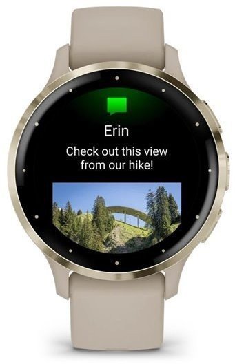 Смарт-часы Garmin Venu 3S Soft Gold S. Steel Bezel w. Французский Грей Case and S. Band (010-02785-02)  Фото №4