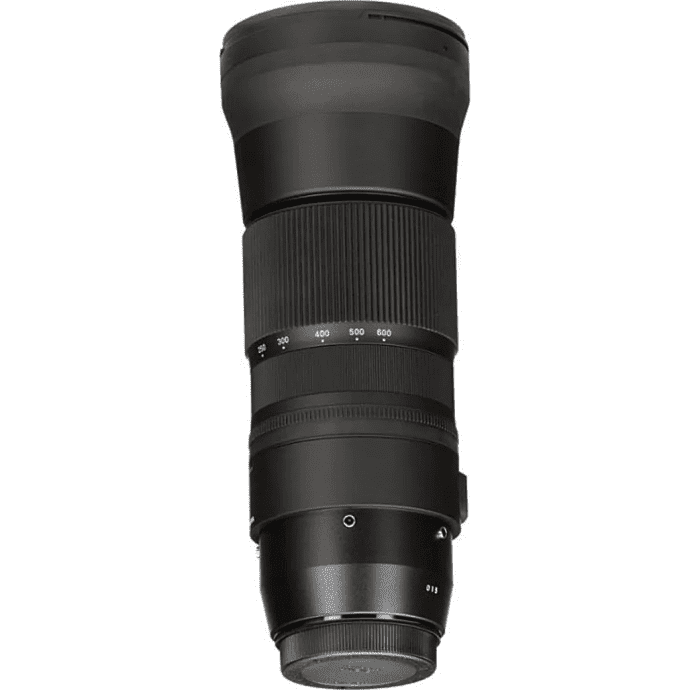 Долгофокусный объектив Sigma AF 150-600mm f/5-6,3 DG OS HSM (Nikon)  Фото №9