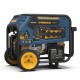 Комбінований генератор (газ-бензин) Firman Tri Fuel 7500W (T07571)