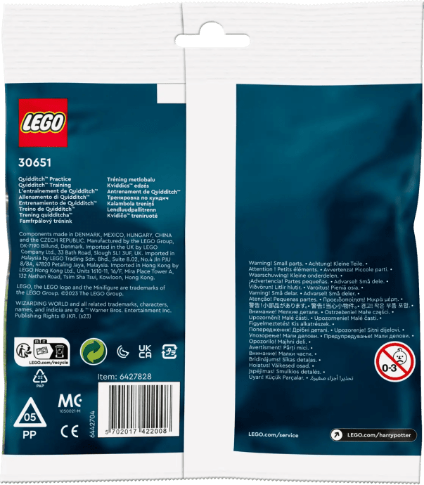 Блоковый конструктор LEGO Harry Potter Тренировки по квиддичу 55 деталей (30651)  Фото №0