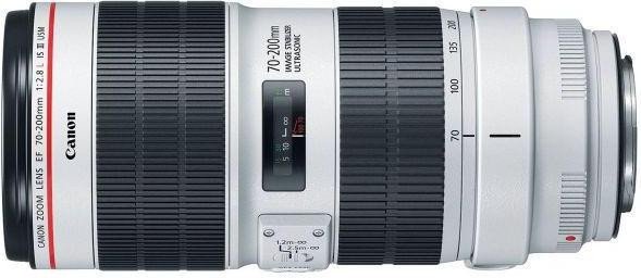 Длиннофокусный объектив Canon EF 70-200mm f/2,8L IS III USM (3044C005)  Фото №3