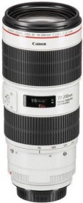 Длиннофокусный объектив Canon EF 70-200mm f/2,8L IS III USM (3044C005)