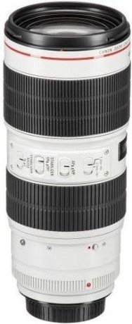 Длиннофокусный объектив Canon EF 70-200mm f/2,8L IS III USM (3044C005)  Фото №1