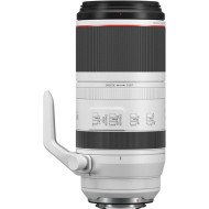 Довгофокусний об&#039;єктив Canon RF 100-500mm f/4,5-7,1 L IS USM (4112C005)