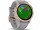 Спортивные часы Garmin Fenix ??6S Rose Gold-tone with Powder Gray Band (010-02159-21/20)  Фото №0
