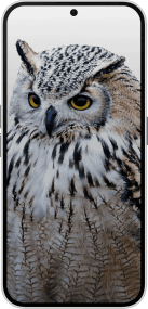 Смартфон Nothing Phone (2a) 12/256GB Aerodactyl Special Edition (A10400088ASE)