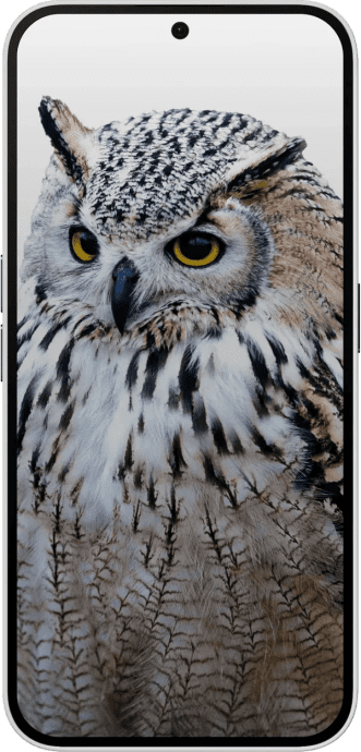 Смартфон Nothing Phone (2a) 12/256GB Aerodactyl Special Edition (A10400088ASE)