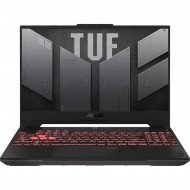 Ноутбук ASUS TUF Gaming A15 FA507NV (FA507NV-LP025) (Custom 32GB/1TB) 