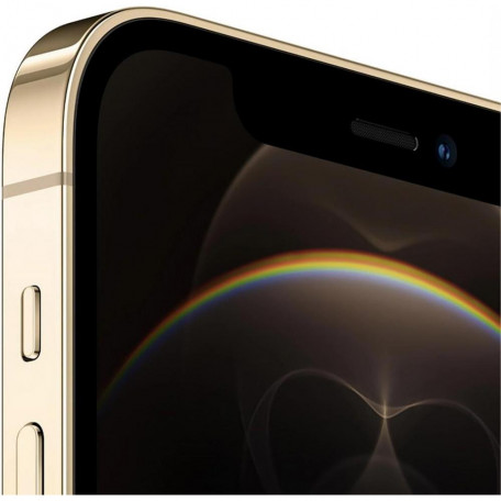 Смартфон Apple iPhone 12 Pro 128GB Gold (MGMM3/MGLQ3)  Фото №0