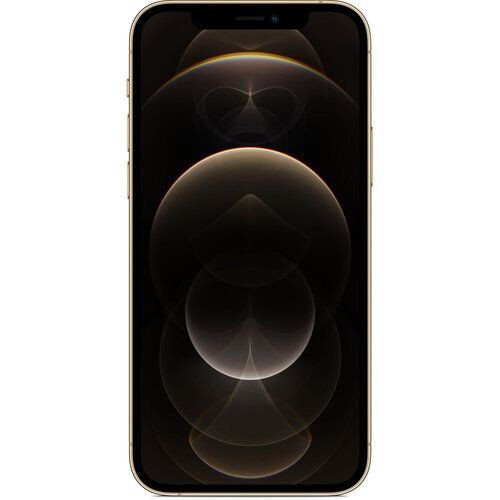 Смартфон Apple iPhone 12 Pro 256GB Gold (MGMR3/MGLV3)  Фото №0