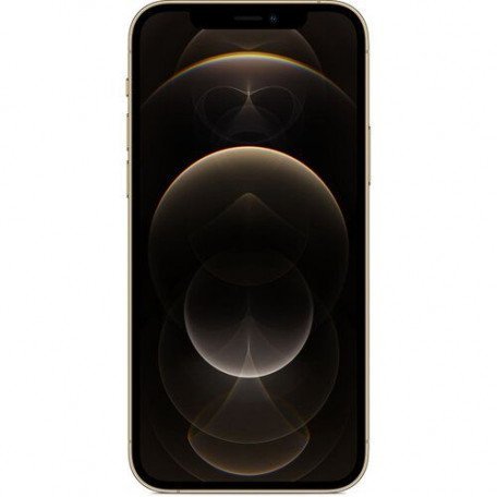 Смартфон Apple iPhone 12 Pro 256GB Gold (MGMR3/MGLV3)  Фото №0