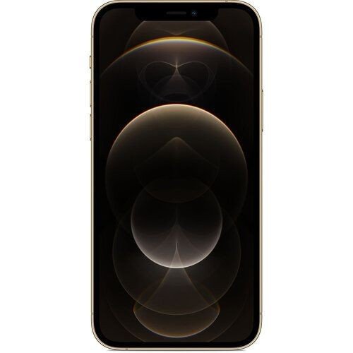 Смартфон Apple iPhone 12 Pro 256GB Gold (MGMR3/MGLV3)  Фото №0