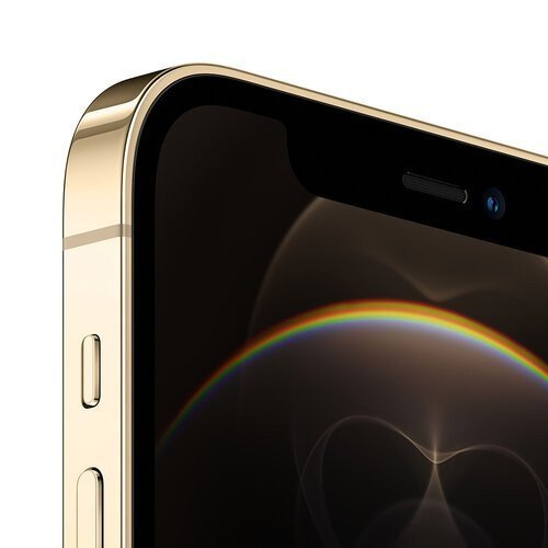 Смартфон Apple iPhone 12 Pro 512GB Gold (MGMW3/MGM23)  Фото №1