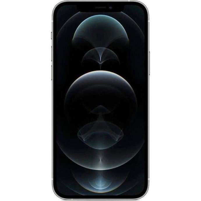 Смартфон Apple iPhone 12 Pro Max 128GB Silver (MGD83/MGD83)  Фото №0