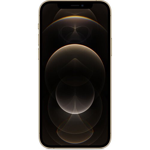 Смартфон Apple iPhone 12 Pro Max 256GB Gold (MGDE3/MGCM3)