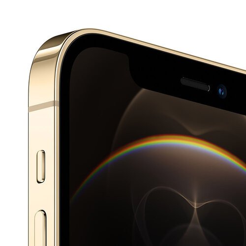 Смартфон Apple iPhone 12 Pro Max 256GB Gold (MGDE3/MGCM3)  Фото №1