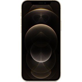 Смартфон Apple iPhone 12 Pro Max 256GB Gold (MGDE3/MGCM3)