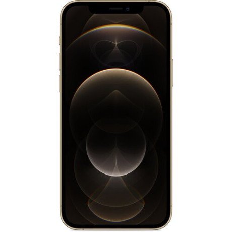 Смартфон Apple iPhone 12 Pro Max 256GB Gold (MGDE3/MGCM3)