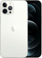 Смартфон Apple iPhone 12 Pro Max 256GB Silver (MGDD3/MGCL3)