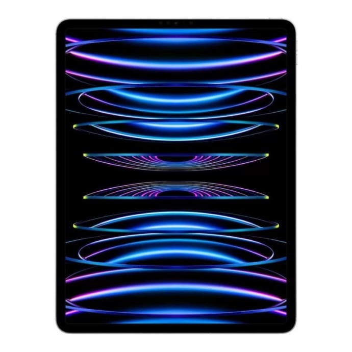 Планшет Apple iPad Pro 11 2022 Wi-Fi + Cellular 2TB Silver (MP5H3/MNYM3)  Фото №0