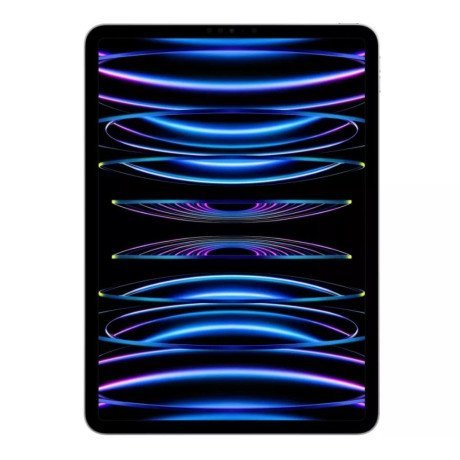 Планшет Apple iPad Pro 12.9 2022 Wi-Fi + Cellular 2TB Silver (MP673/MP273)  Фото №1