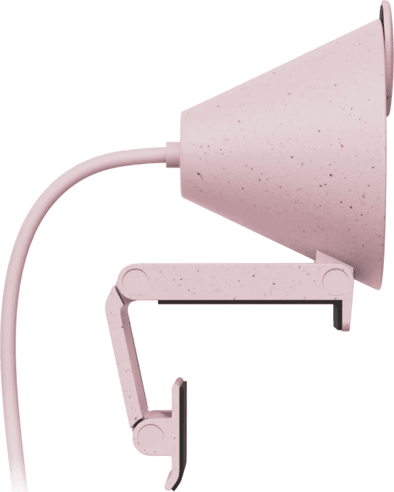 Вебкамера Logitech Brio 300 FHD Rose (960-001448)  Фото №1